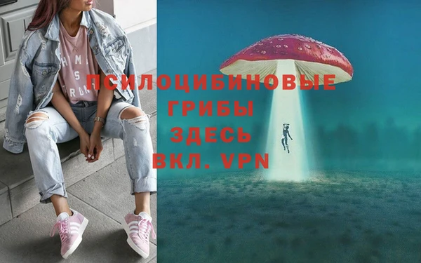 ECSTASY Балабаново