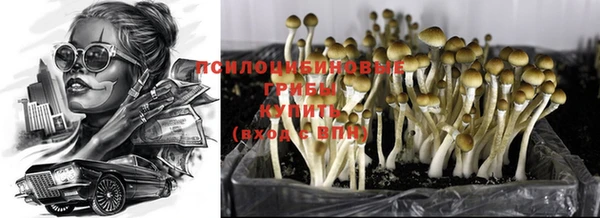 не бодяженный Беломорск