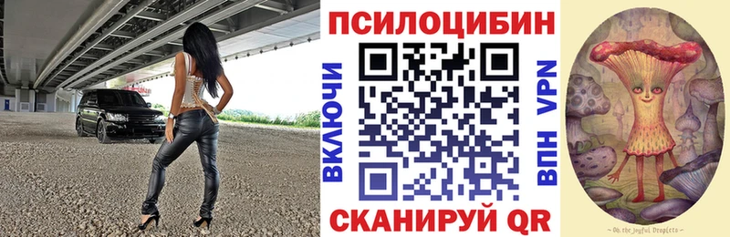 Галлюциногенные грибы ЛСД ссылка на мегу вход Дальнегорск